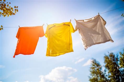 mimpi menjemur pakaian banyak  Bahkan pakaianmu yang sudah bersih dapat kotor lagi karena terjatuh ke tanah atau terbang